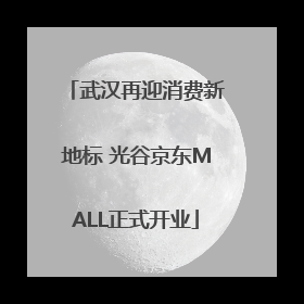 武汉再迎消费新地标 光谷京东MALL正式开业
