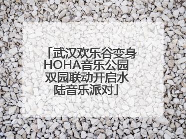 武汉欢乐谷变身HOHA音乐公园 双园联动开启水陆音乐派对