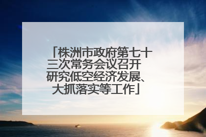 株洲市政府第七十三次常务会议召开 研究低空经济发展、大抓落实等工作