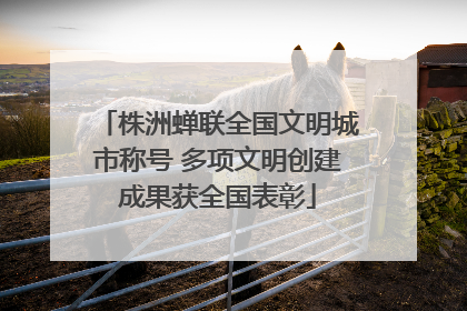 株洲蝉联全国文明城市称号 多项文明创建成果获全国表彰