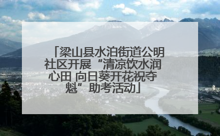 梁山县水泊街道公明社区开展“清凉饮水润心田 向日葵开花祝夺魁”助考活动