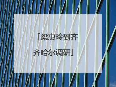 梁惠玲到齐齐哈尔调研