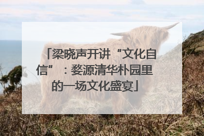 梁晓声开讲“文化自信”：婺源清华朴园里的一场文化盛宴