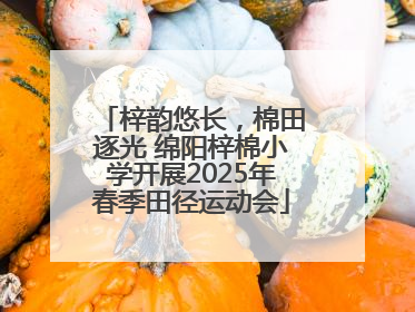 梓韵悠长，棉田逐光 绵阳梓棉小学开展2025年春季田径运动会