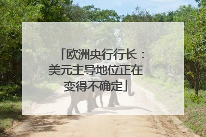 欧洲央行行长：美元主导地位正在变得不确定