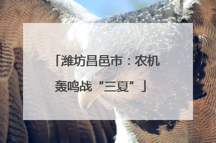 潍坊昌邑市：农机轰鸣战“三夏”