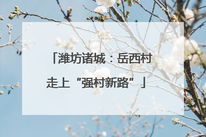 潍坊诸城：岳西村走上“强村新路”