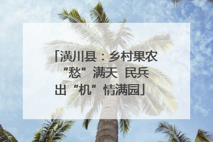 潢川县：乡村果农“愁”满天  民兵出“机”情满园