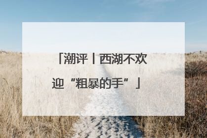潮评丨西湖不欢迎“粗暴的手”