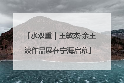 水双重｜王敏杰·余王波作品展在宁海启幕