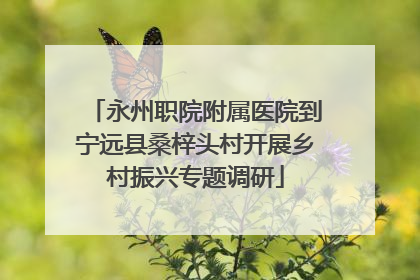 永州职院附属医院到宁远县桑梓头村开展乡村振兴专题调研
