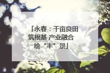 永春：千亩良田筑根基 产业融合绘“丰”景