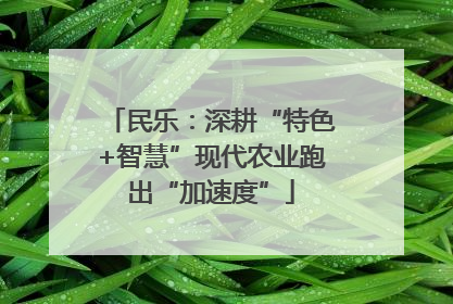 民乐：深耕“特色+智慧”现代农业跑出“加速度”
