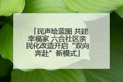 民声绘蓝图 共建幸福家 六合社区亲民化改造开启“双向奔赴”新模式