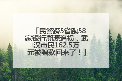 民警跨5省跑58家银行溯源追损，武汉市民162.5万元被骗款回来了！