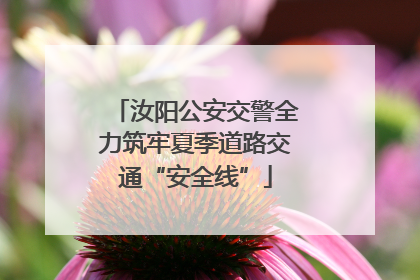 汝阳公安交警全力筑牢夏季道路交通“安全线”