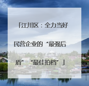 江川区：全力当好民营企业的“最强后盾”“最佳拍档”