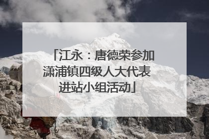 江永：唐德荣参加潇浦镇四级人大代表进站小组活动