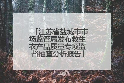 江苏省盐城市市场监管局发布救生衣产品质量专项监督抽查分析报告