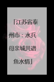 江苏省泰州市：水兵母亲城共谱鱼水情
