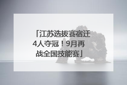 江苏选拔赛宿迁4人夺冠！9月再战全国技能赛