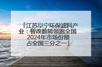 江苏阜宁环保滤料产业：智改数转领跑全国 2024年市场份额占全国三分之一