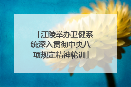 江陵举办卫健系统深入贯彻中央八项规定精神轮训