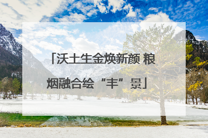 沃土生金焕新颜 粮烟融合绘“丰”景