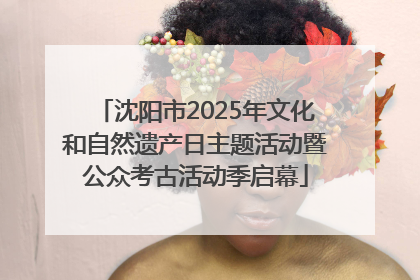 沈阳市2025年文化和自然遗产日主题活动暨公众考古活动季启幕