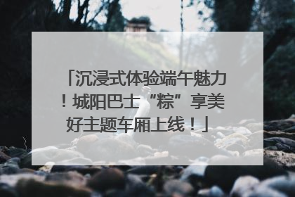 沉浸式体验端午魅力！城阳巴士“粽”享美好主题车厢上线！