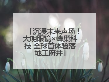 沉浸未来声场！大明眼镜×蜂巢科技 全球首体验落地王府井
