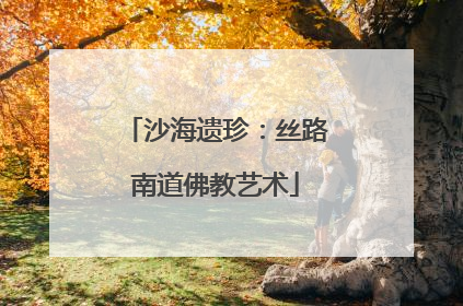 沙海遗珍：丝路南道佛教艺术