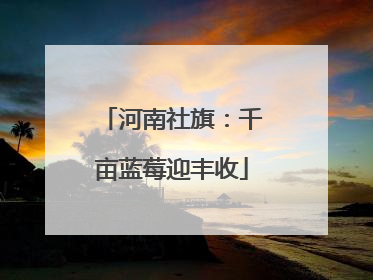河南社旗：千亩蓝莓迎丰收