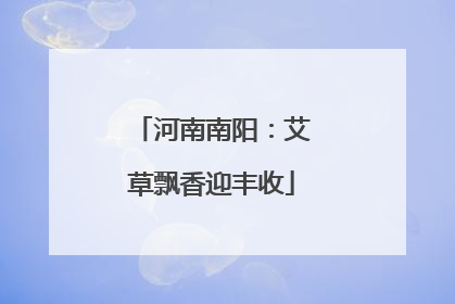 河南南阳：艾草飘香迎丰收