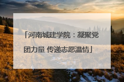 河南城建学院：凝聚党团力量 传递志愿温情