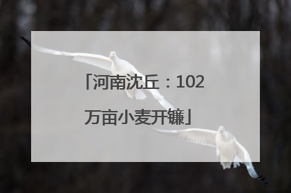 河南沈丘：102 万亩小麦开镰