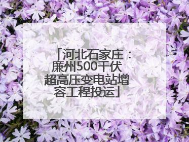 河北石家庄：廉州500千伏超高压变电站增容工程投运