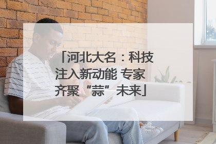 河北大名：科技注入新动能 专家齐聚“蒜”未来