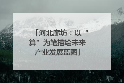 河北廊坊：以“算”为笔描绘未来产业发展蓝图