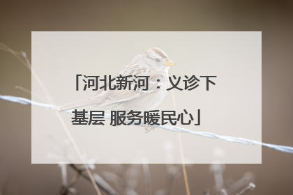 河北新河：义诊下基层 服务暖民心
