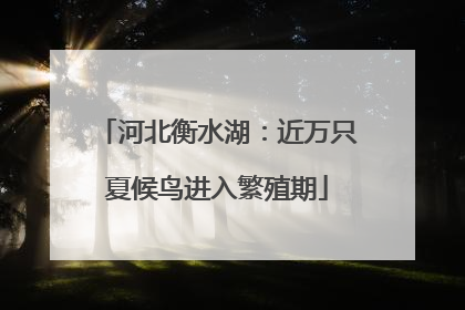 河北衡水湖：近万只夏候鸟进入繁殖期
