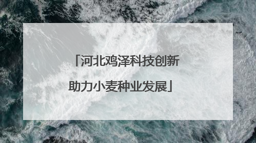 河北鸡泽科技创新助力小麦种业发展