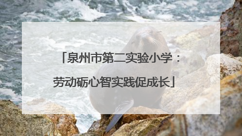 泉州市第二实验小学：劳动砺心智实践促成长