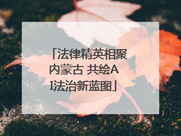 法律精英相聚内蒙古 共绘AI法治新蓝图