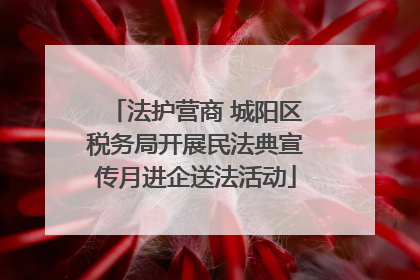 法护营商 城阳区税务局开展民法典宣传月进企送法活动