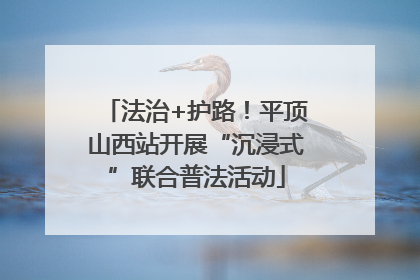 法治+护路！平顶山西站开展“沉浸式”联合普法活动