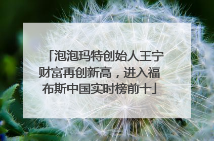 泡泡玛特创始人王宁财富再创新高，进入福布斯中国实时榜前十