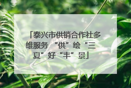 泰兴市供销合作社多维服务 “供”绘“三夏”好“丰”景