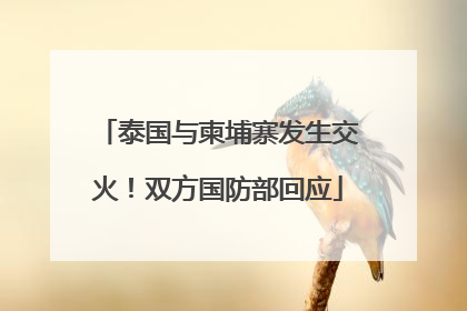泰国与柬埔寨发生交火！双方国防部回应