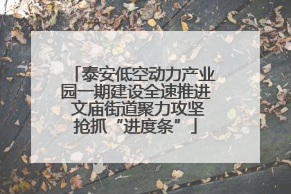 泰安低空动力产业园一期建设全速推进 文庙街道聚力攻坚抢抓“进度条”